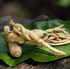 Glyco Harmony Ingredient Panax Ginseng Aerial Extract